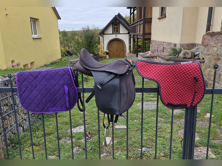 VS-Sattel Wintec 250 Start 15 Zoll für Shetty / Pony mit Zubehör