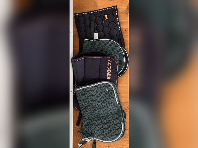 Wintec 500 Pony All Purpose mit Zubehör 