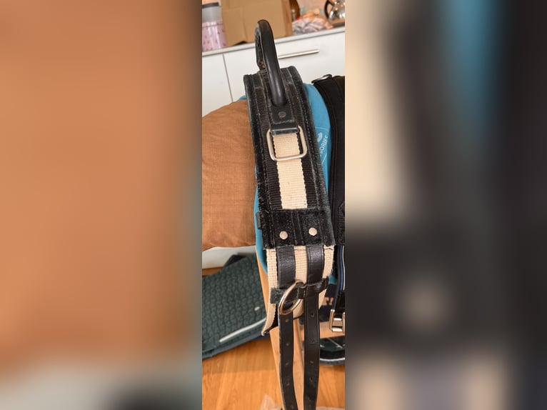 Wintec 500 Pony All Purpose mit Zubehör 