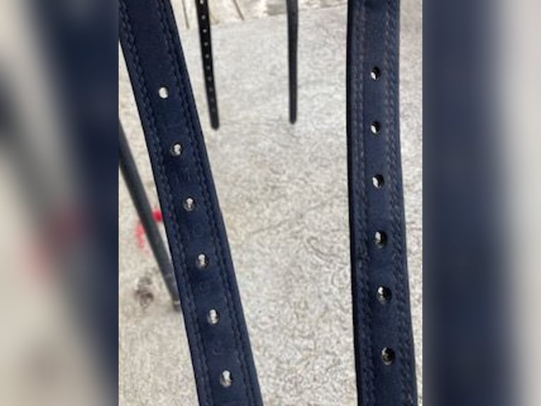 Barocksattel SKL Deuber & Partner