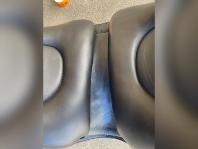 Barocksattel SKL Deuber & Partner