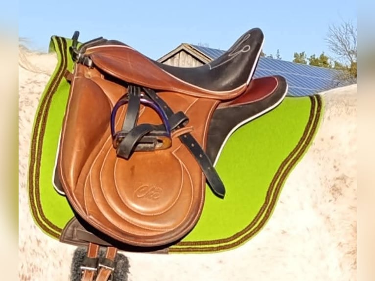 CHE Dressursattel Modell "Garrocha"