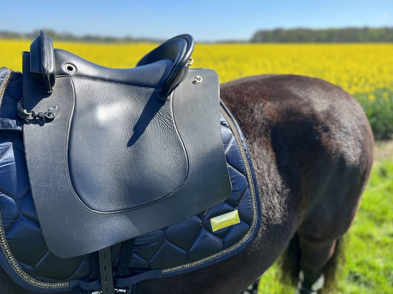 Deuber Barock Lederbaumsattel, inkl. Versand, top Zustand