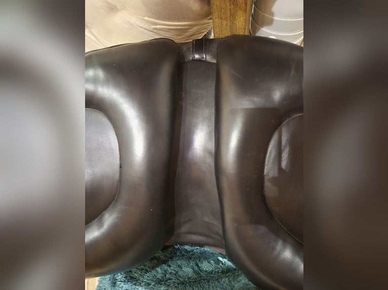 Deuber & Partner Barock SKL S3 schwarz – frisch aufgepolstert – verstellbare Kammer