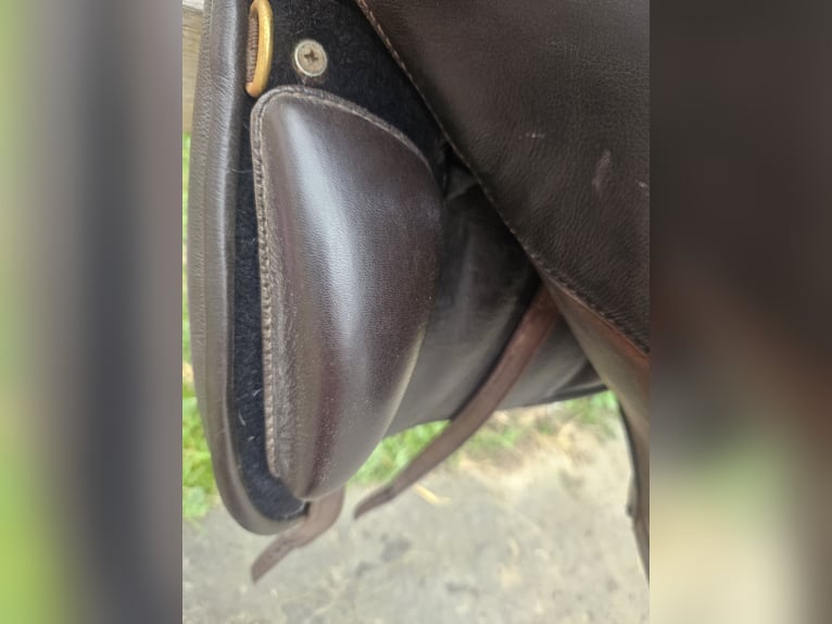 Deuber & Partner Barocksattel El Campo S2