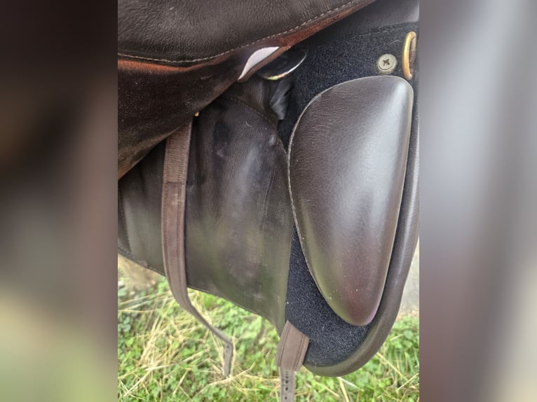 Deuber & Partner Barocksattel El Campo S2