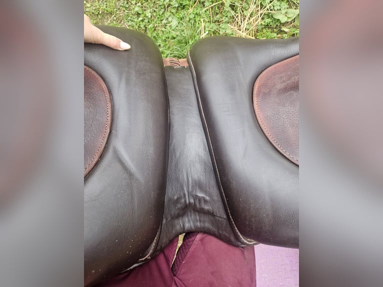 Deuber & Partner Barocksattel El Campo S2