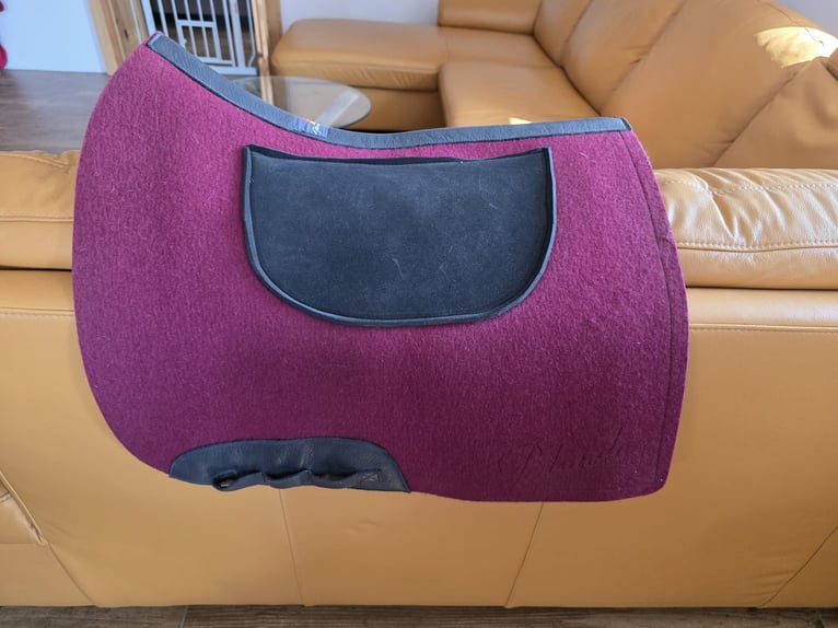 fast neuer Iberosattel mit Mohair-Schnürengurt und Filzpad