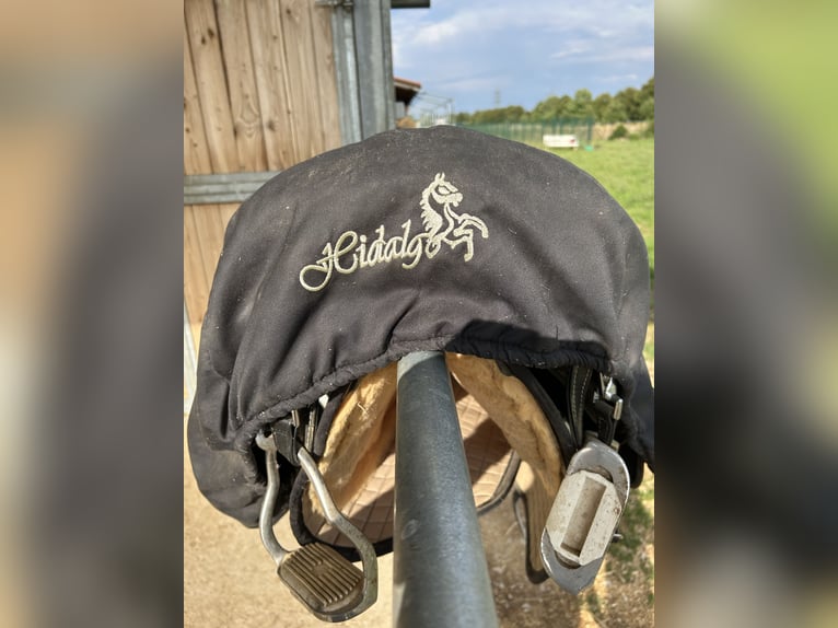 Hidalgo Sanluca Lederbaumsattel Gr. 35 (ca. 18,5“)