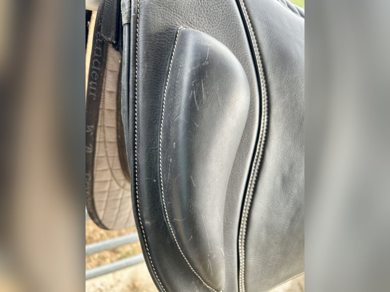 Hidalgo Sanluca Lederbaumsattel Gr. 35 (ca. 18,5“)