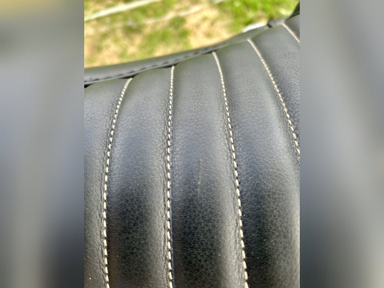 Hidalgo Sanluca Lederbaumsattel Gr. 35 (ca. 18,5“)