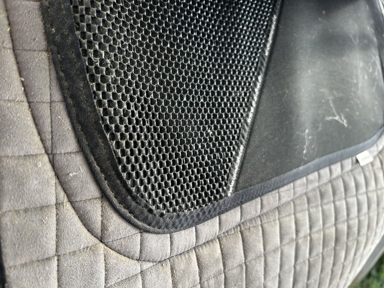 Hidalgo Sanluca Lederbaumsattel Gr. 35 (ca. 18,5“)