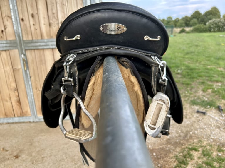 Hidalgo Sanluca Lederbaumsattel Gr. 35 (ca. 18,5“)