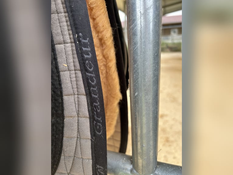 Hidalgo Sanluca Lederbaumsattel Gr. 35 (ca. 18,5“)