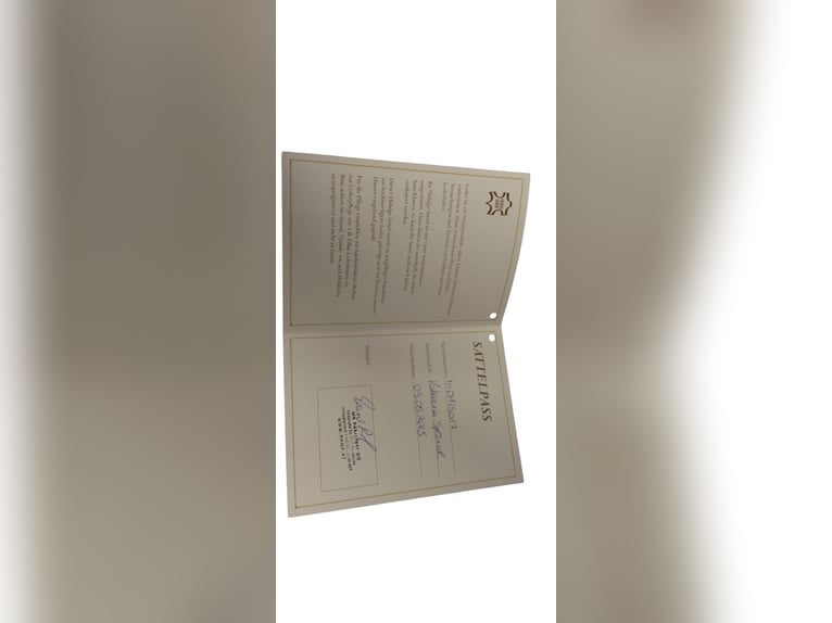 Hidalgo Valencia Spezial – Hochwertiger Sattel mit Lederbaum in Top-Zustand!