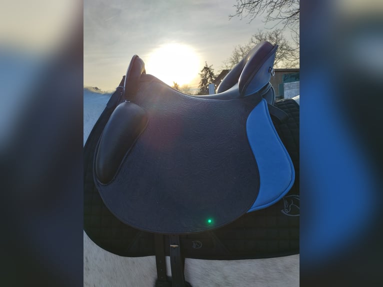 Ibero Amazona Comfort Premium Line Baroque 18,5