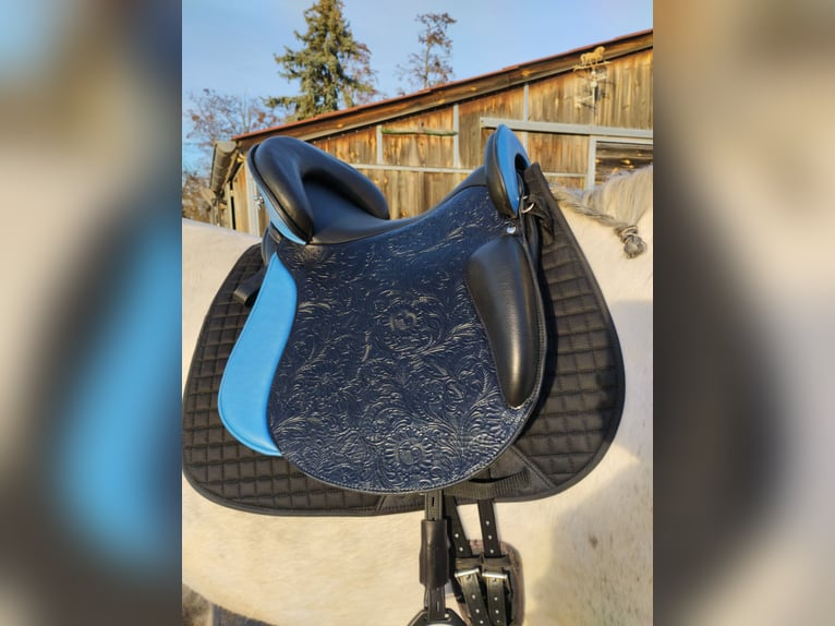 Ibero Amazona Comfort Premium Line Baroque 18,5