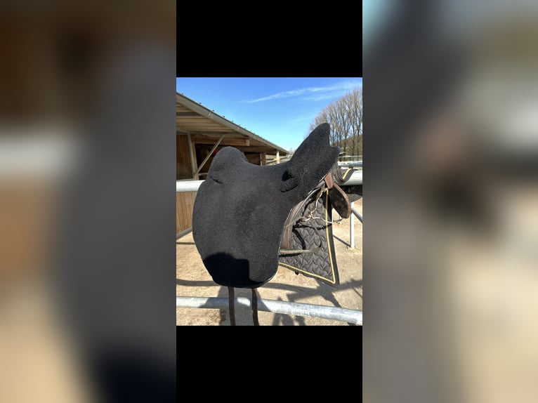 Ludomar Venus Flexibel