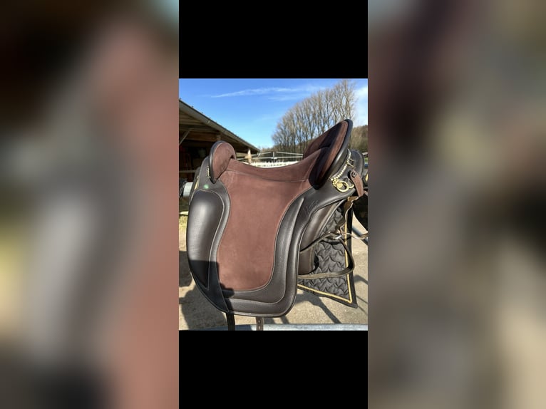 Ludomar Venus Flexibel