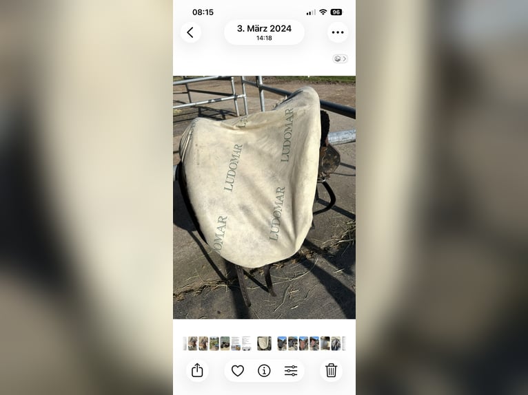 Ludomar Venus Flexibel