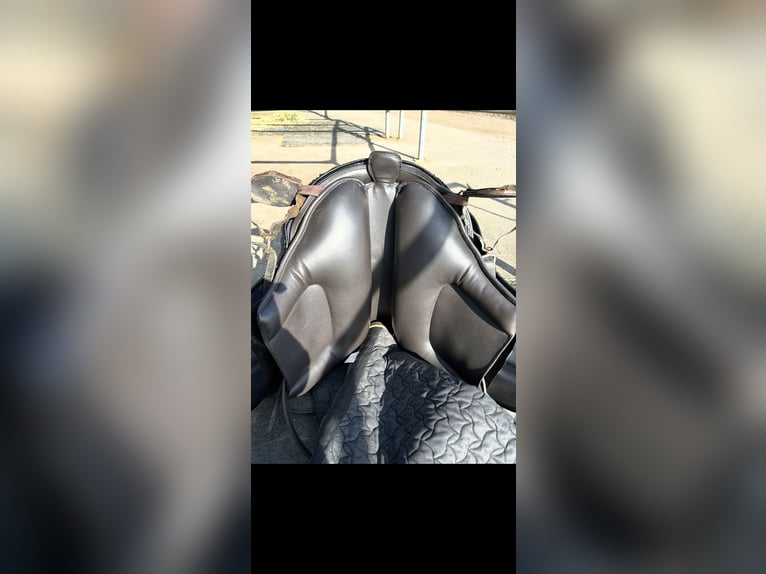 Ludomar Venus Flexibel