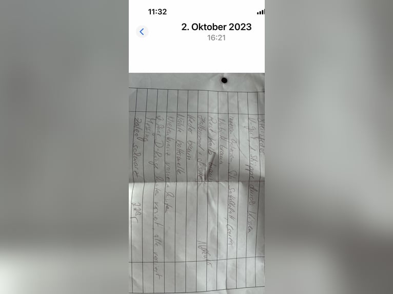 Ludomar Venus Flexibel