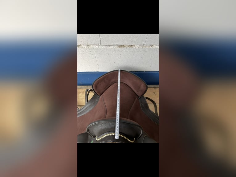 Ludomar Venus Flexibel