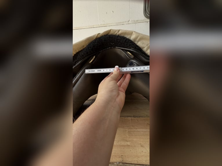 Ludomar Venus Flexibel