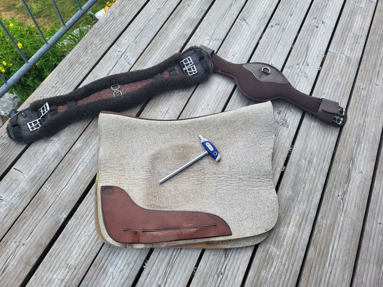 Sattel El Campo von Deuber und Partner