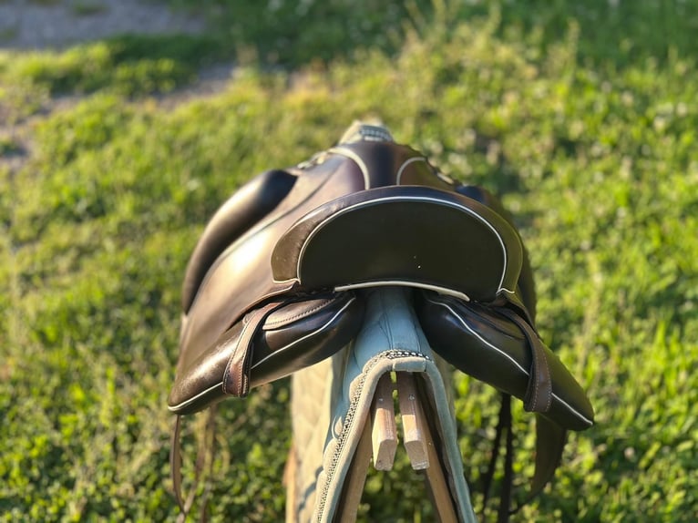 Schöner Iberosattel „Amazona Dressage Comfort 3000“ in 18.5 Zoll