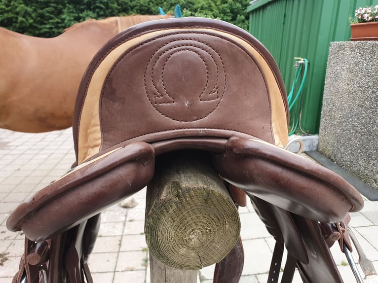 Signum Lotus, 17,5 Zoll wenig gebraucht