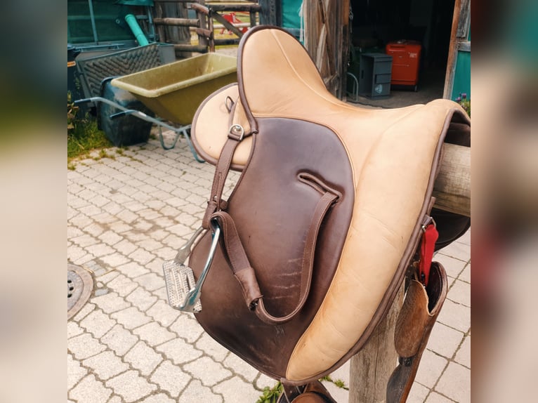 Signum Lotus, 17,5 Zoll wenig gebraucht
