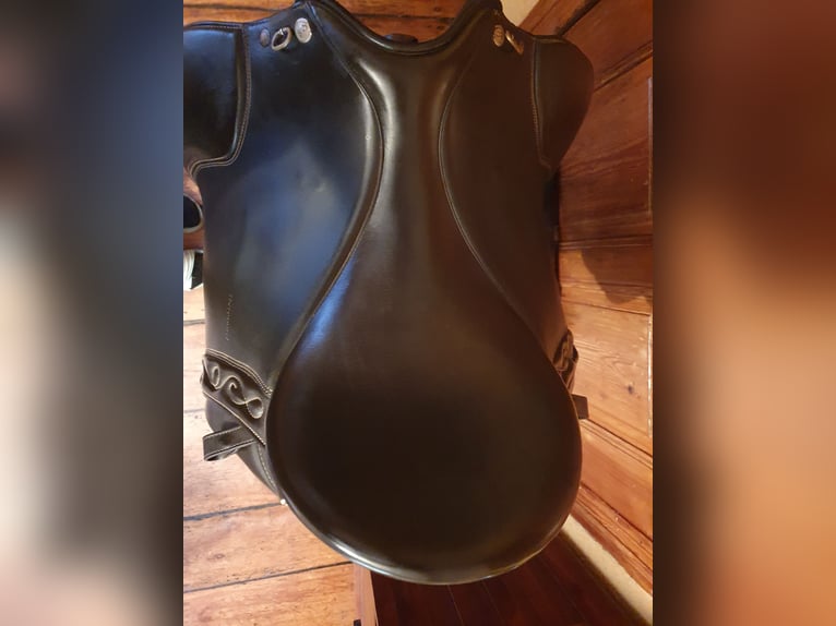 Sommer Ibero Sattel 17,5", Dressage Andaluz MOCCA NEUw.