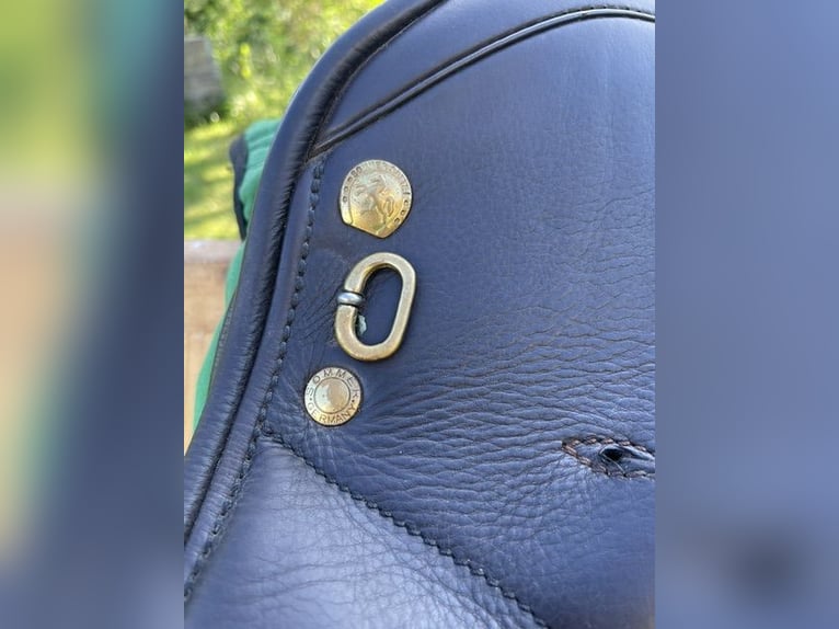 Sommer "Minos" Dressursattel
