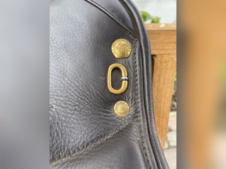 Sommer "Minos" - spanischer Dressursattel