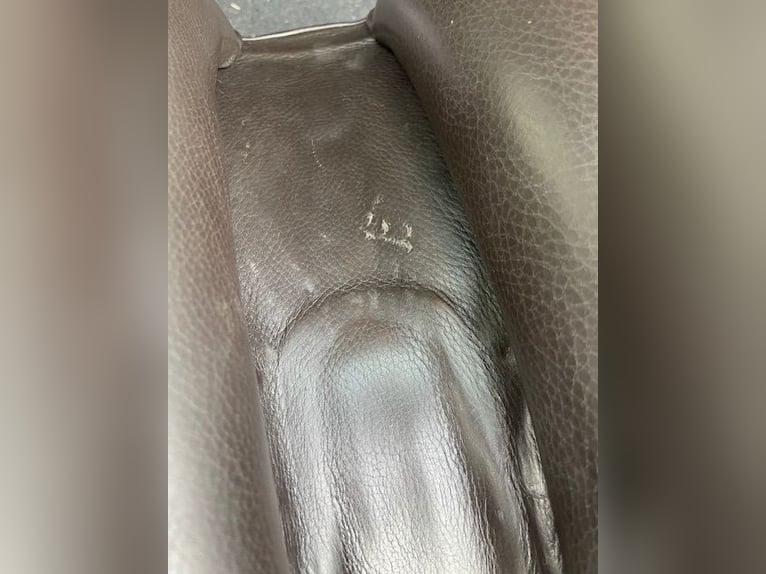 Sommer "Minos" - spanischer Dressursattel