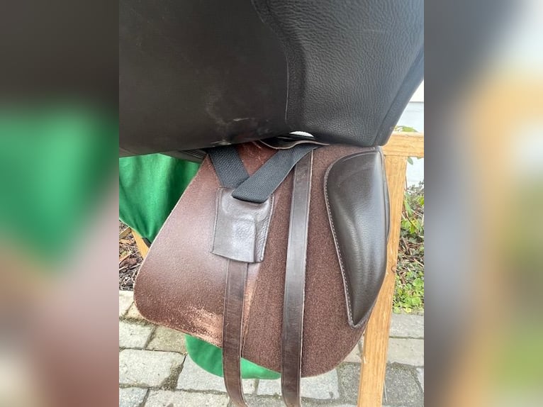 Sommer "Minos" - spanischer Dressursattel