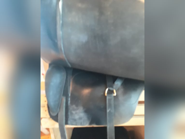 Spanischen sattel hidalgo valencia 2