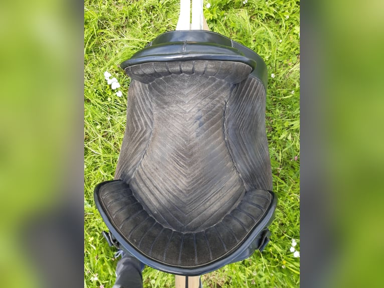 Spanischer Barocksattel