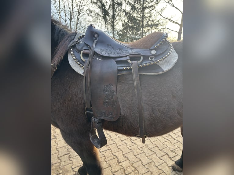 Western Sattel - Gangpferde Marchadores - Handgefertigt - Einzelstück -