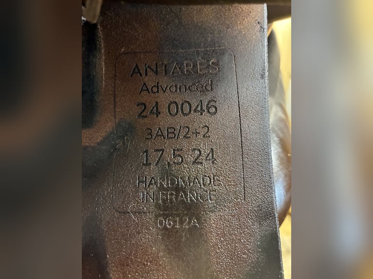 17.5 Antares Sattel zu verkaufen - 2 jährig