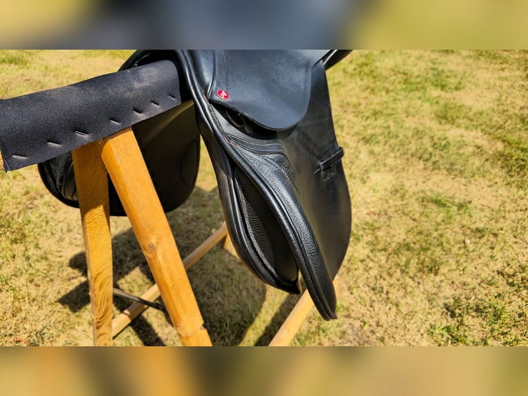  Albion Springsattel Kontrol Sitzfläcke 18“ / Kammerweite XW - Schwarz - Wie neu