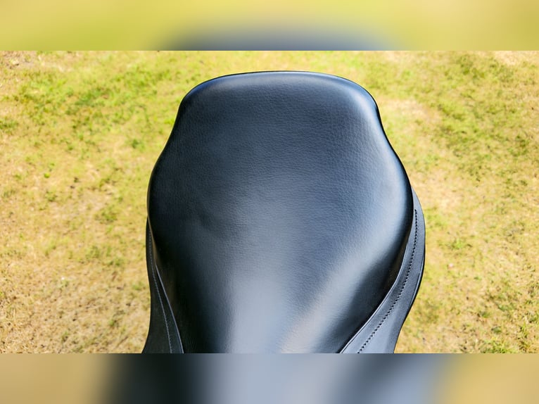  Albion Springsattel Kontrol Sitzfläcke 18“ / Kammerweite XW - Schwarz - Wie neu
