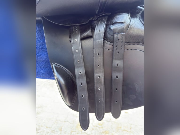 Albion Springsattel Legend K2 W~17,5