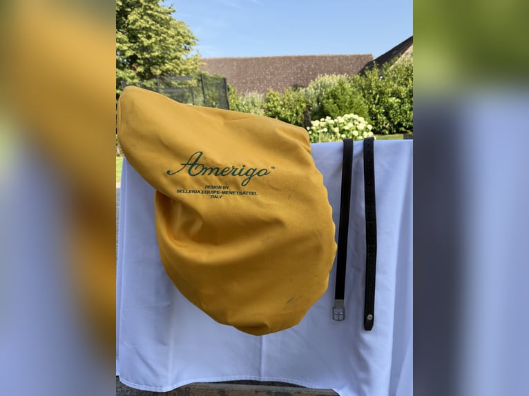 Amerigo DJ Largo Pinerolo • 17,5‘‘ • schokobraun