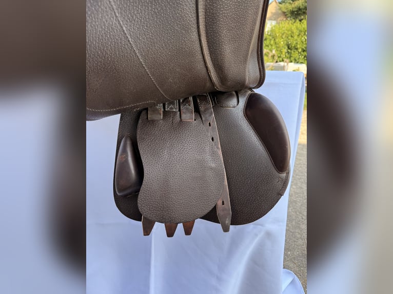 Amerigo DJ Largo Pinerolo • 17,5‘‘ • schokobraun