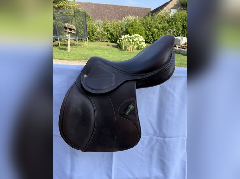Amerigo DJ Largo Pinerolo • 17,5‘‘ • schokobraun