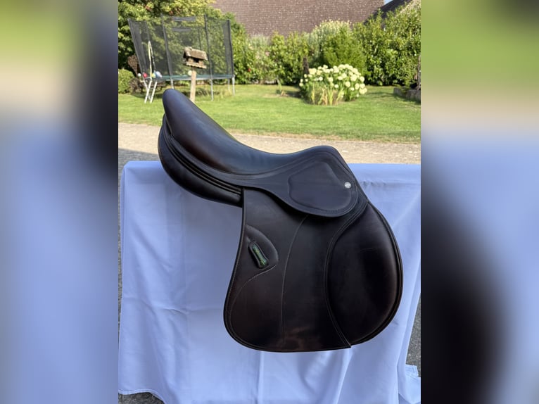 Amerigo DJ Largo Pinerolo • 17,5‘‘ • schokobraun