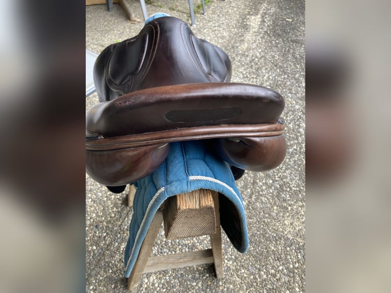 Amerigo DJ Largo Pinerolo Springsattel 17.5 Zoll