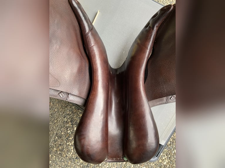 Amerigo DJ Largo Pinerolo Springsattel 17.5 Zoll